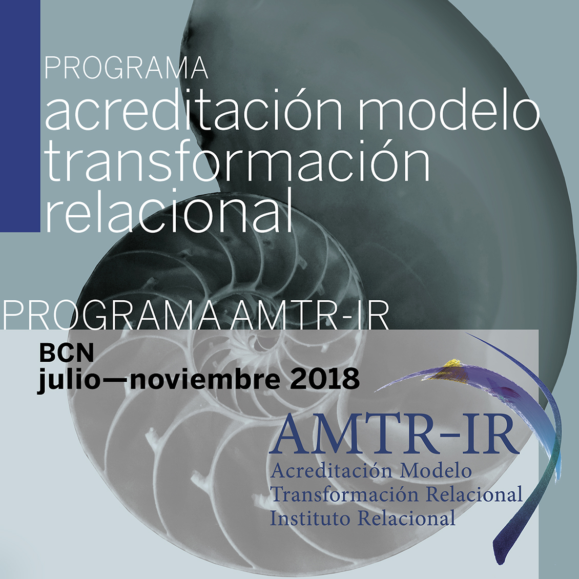 Programa de Acreditación en el Modelo de Transformación Relacional -  Instituto Relacional